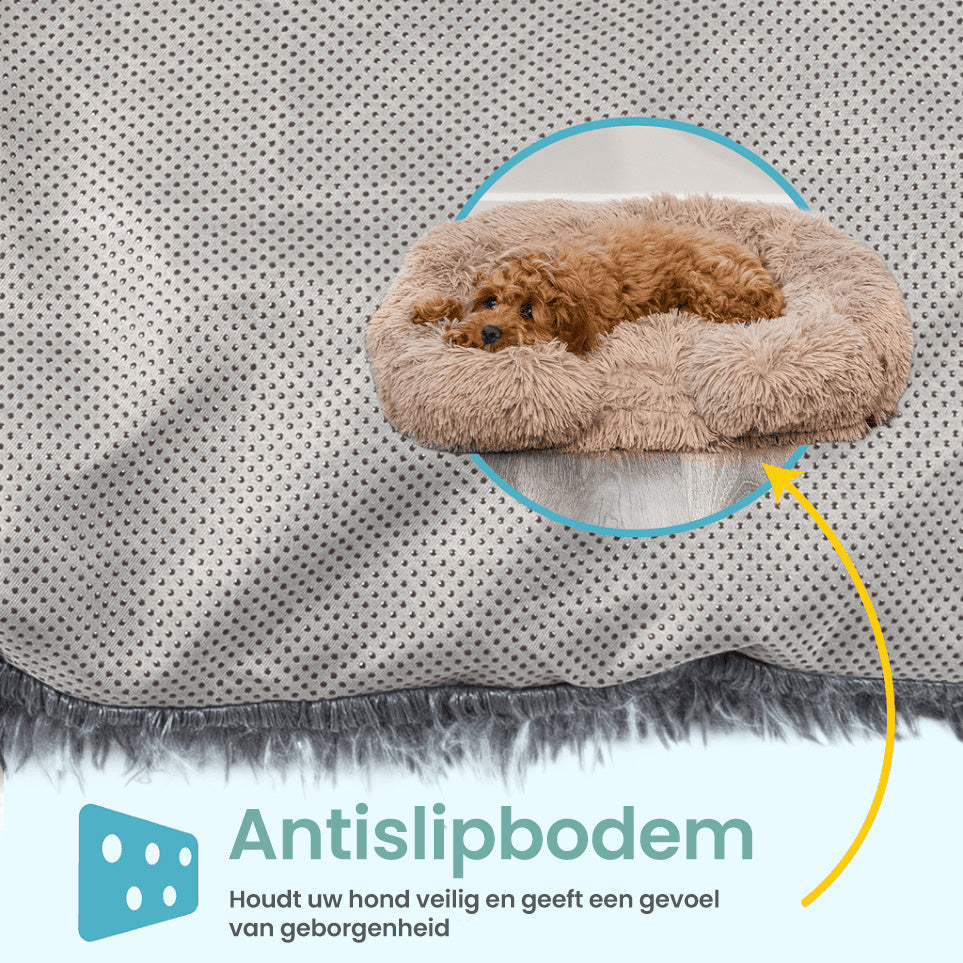 Calming Dog Bed with Memory Foam