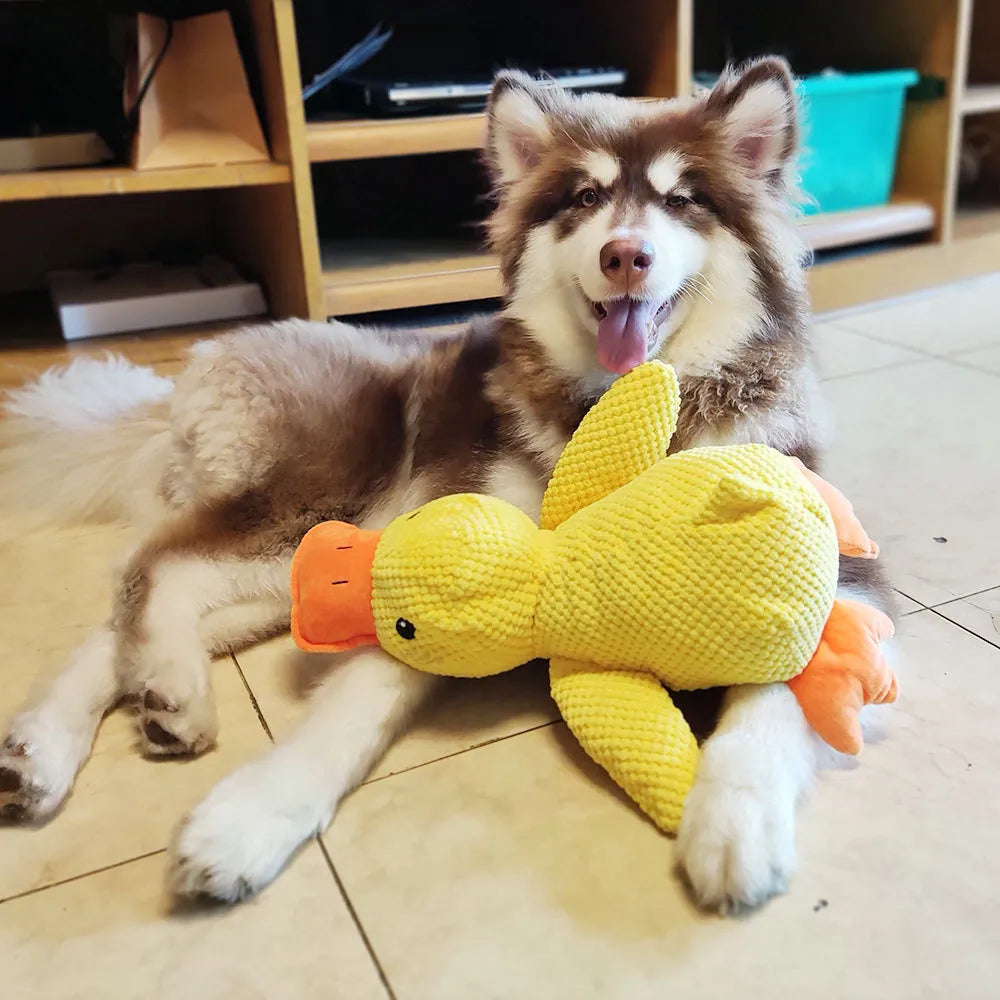 Duck Dog Toy - Squeaky & Teeth Cleaning