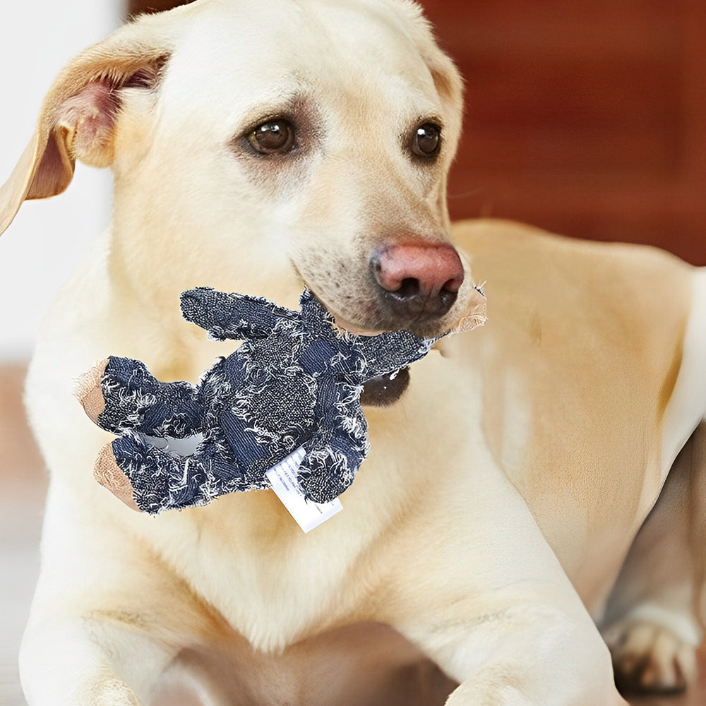 Indestructible Durable Bear
