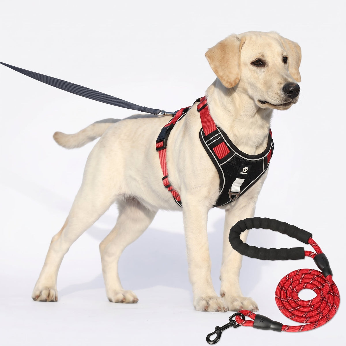 No-Pull Dog Harness with Comfort Padding