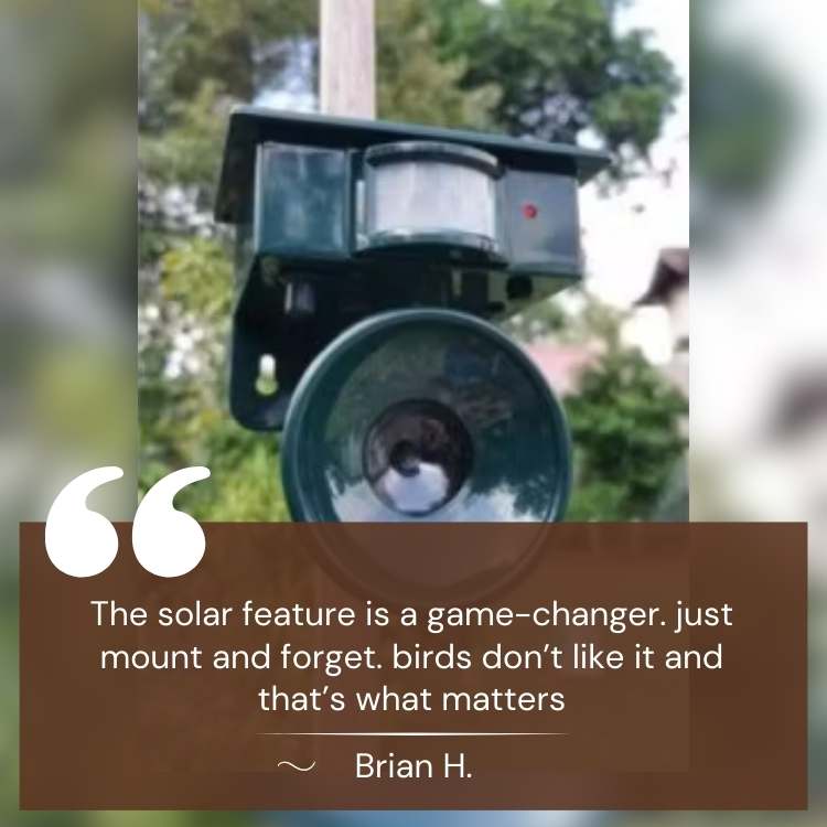Smart Solar Ultrasonic Bird Repeller