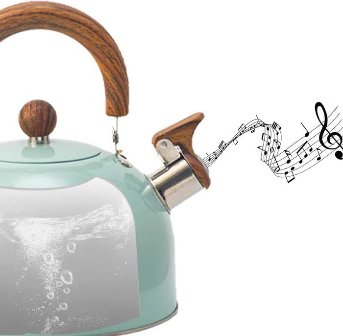 Stainless Steel Whistling Kettle with Insulated Handle