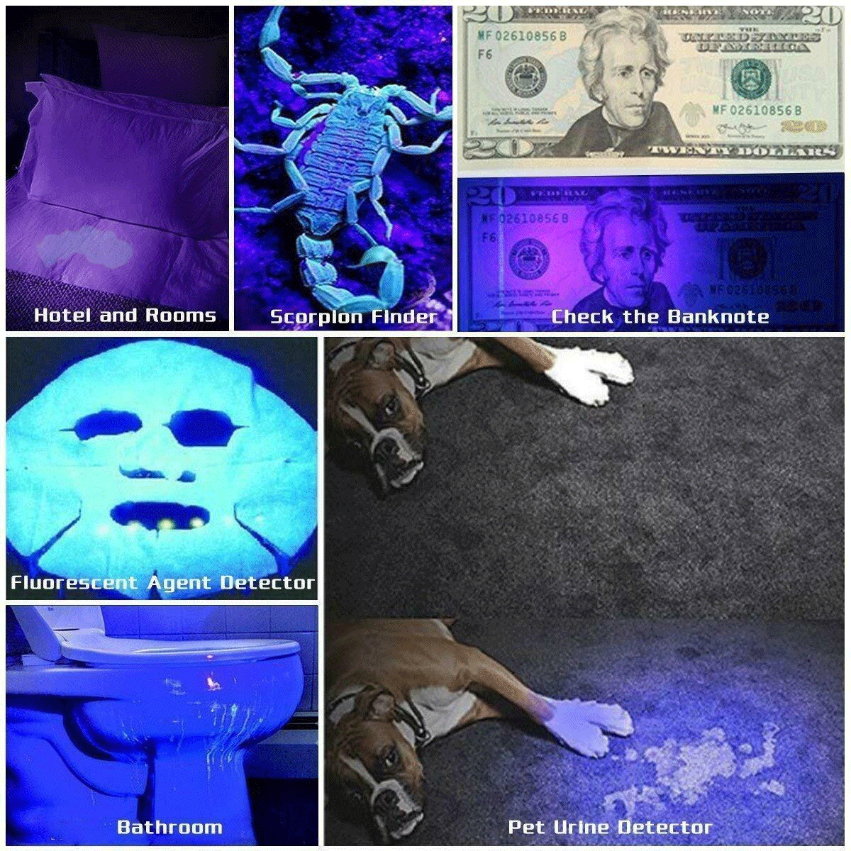 395nm UV Blacklight LED Flashlight