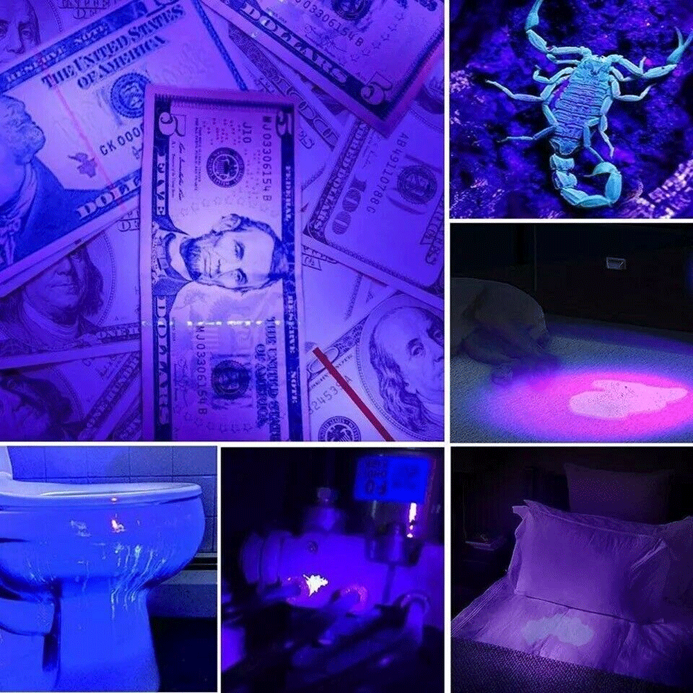 395nm UV Blacklight LED Flashlight
