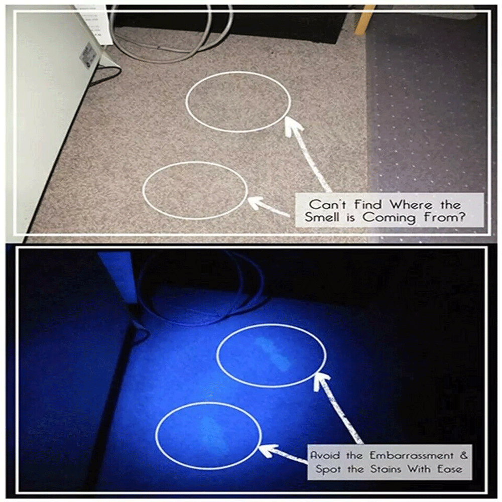 395nm UV Blacklight LED Flashlight