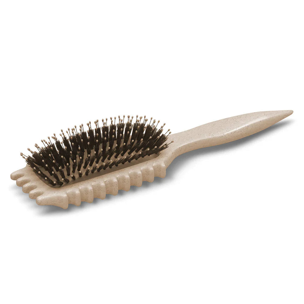 Anti-Frizz Curl Detangling Brush – CurlDefine