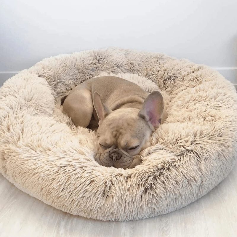 Calming Dog and Cat Bed with Raised Rim