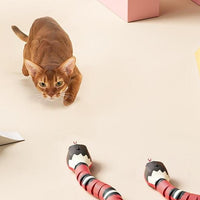 Cat Hunting Toy