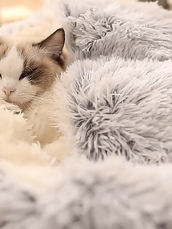 Cozy Cave Pet Bed - Calming and Comfortable Dog Bed for Deep Relaxation