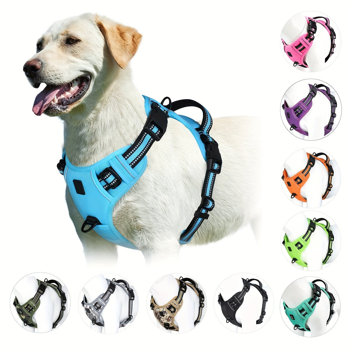 Dog Harness
