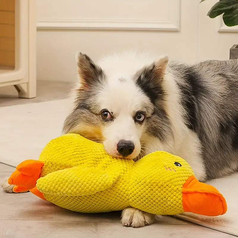 Duck Dog Toy - Squeaky & Teeth Cleaning