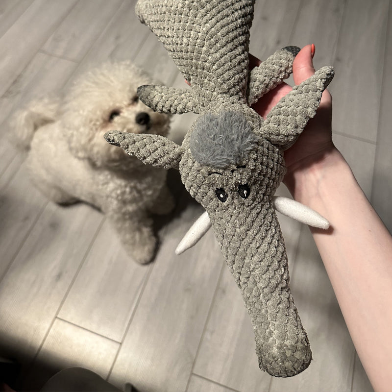 Durable Dog Toy for Chewers