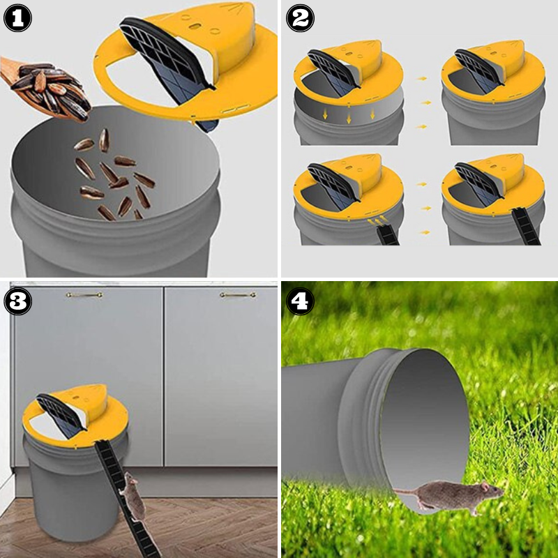 Humane Bucket Lid Mouse Trap with Safe Catch