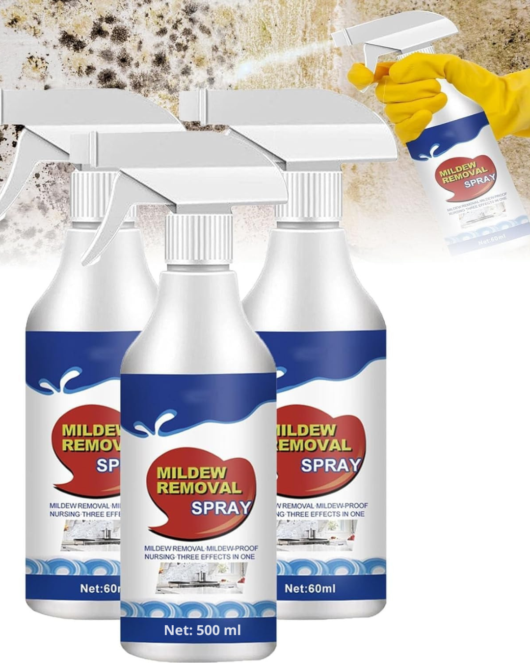 Mold and Damp Stain Remover