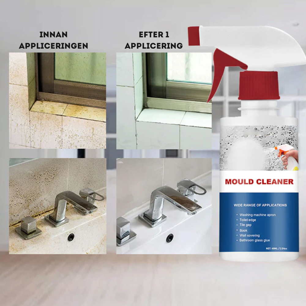 Mold and Damp Stain Remover