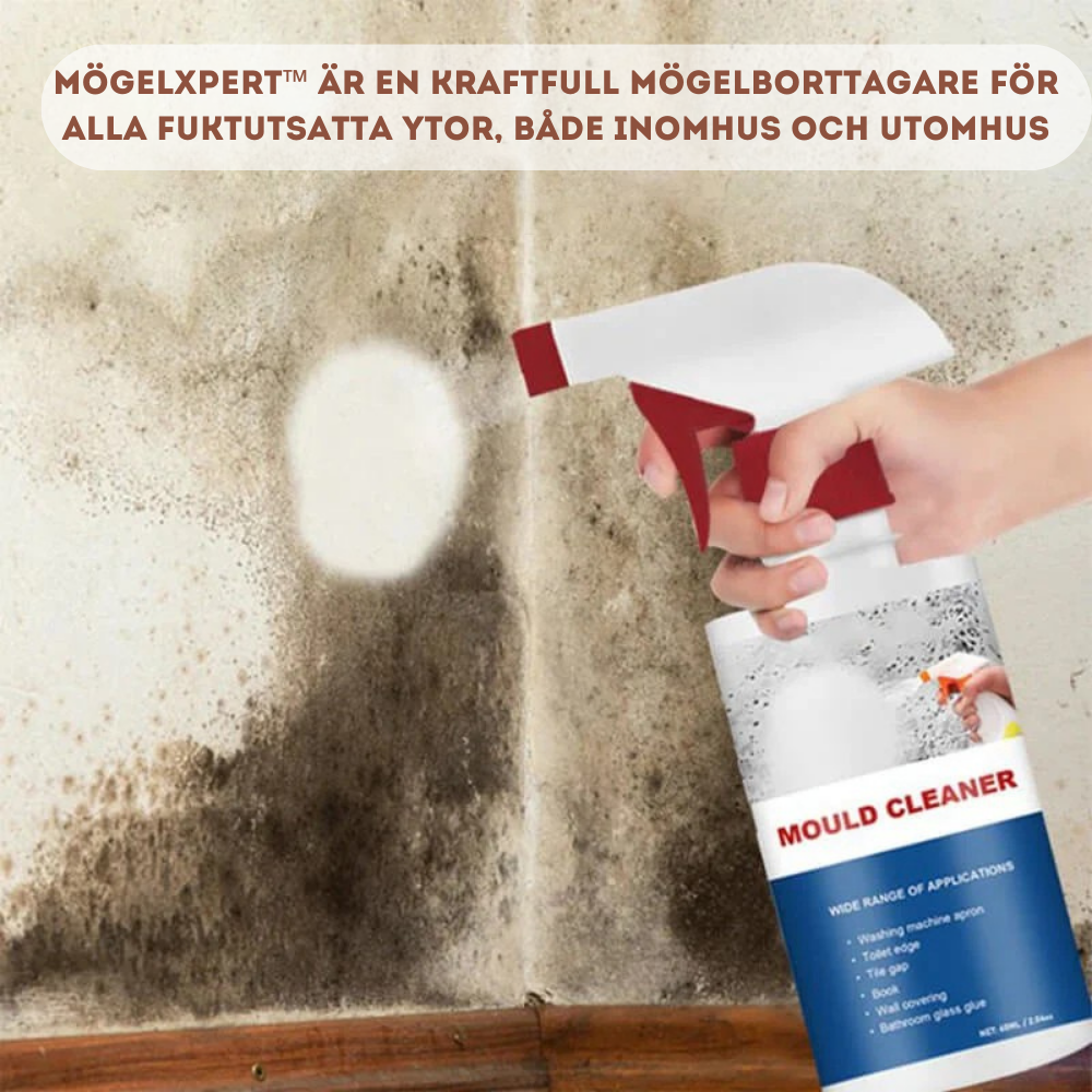 Mold and Damp Stain Remover