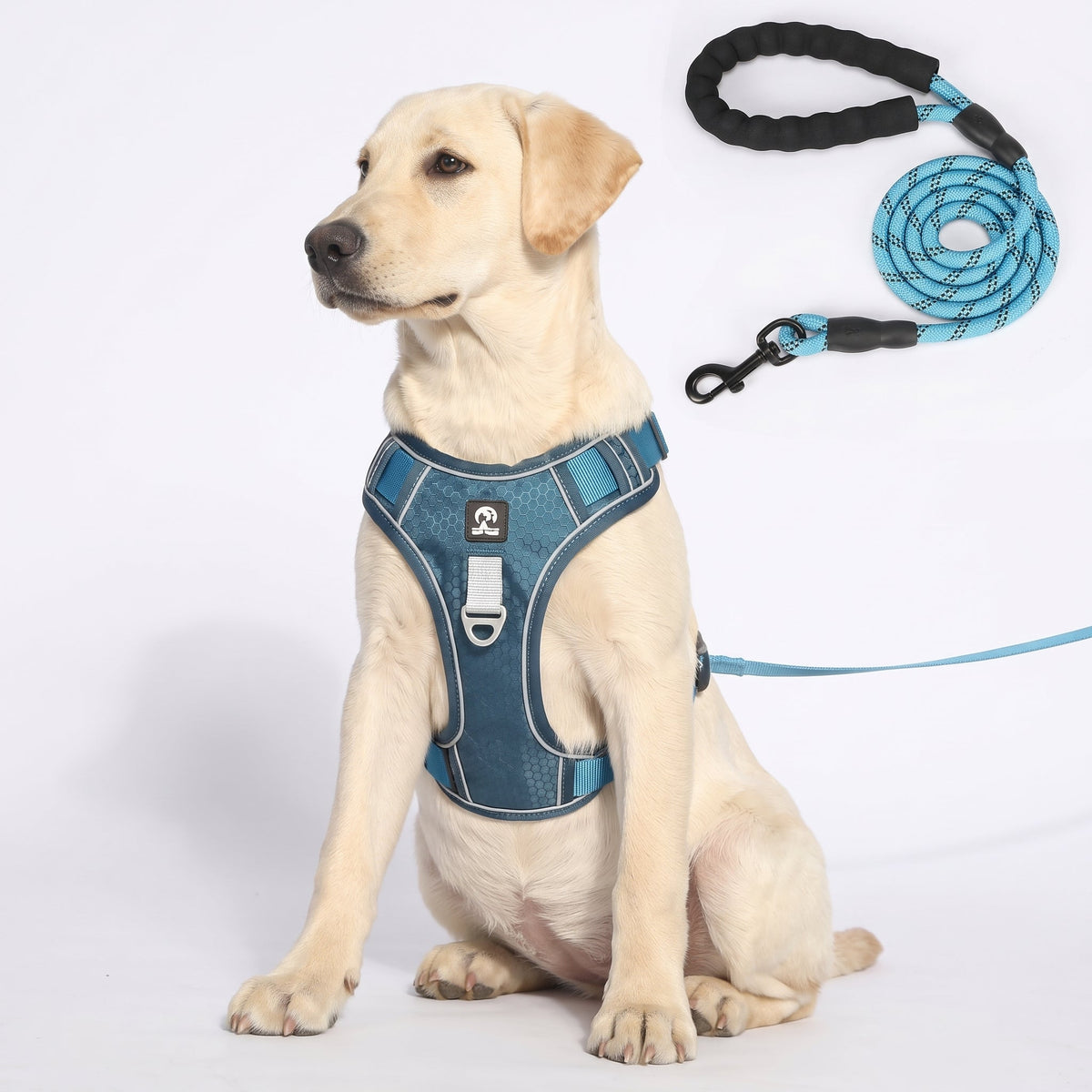 No-Pull Dog Harness with Comfort Padding