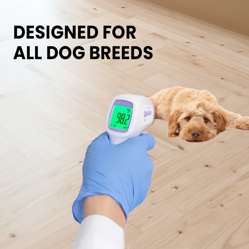 Non-Contact Dog Thermometer with One-Click Reading