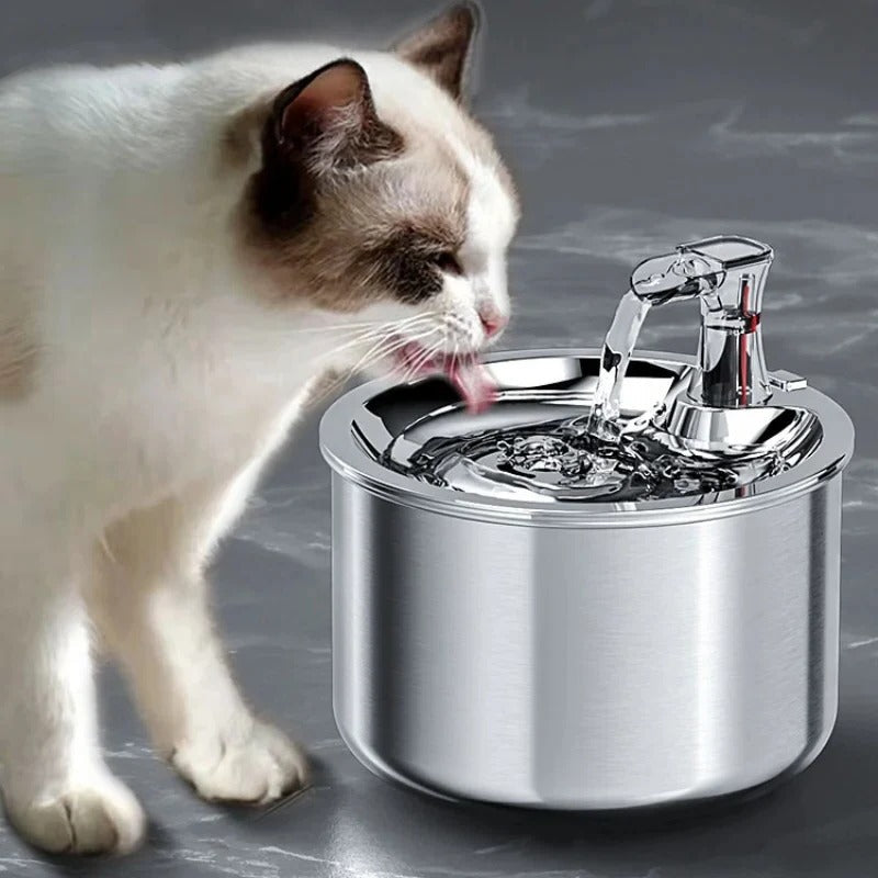 Smart Stainless Steel Pet Water Fountain with Filter & Motion Sensor