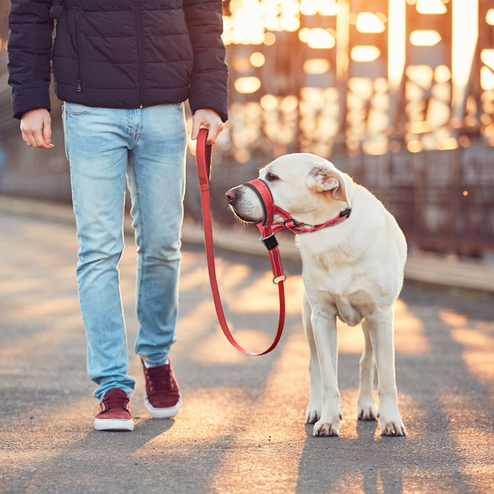 Stop Barking and Biting Without Stress