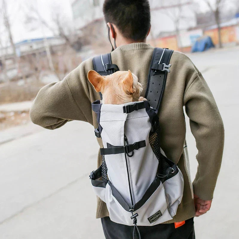 Travel Carrier Bag for Small and Medium Dogs